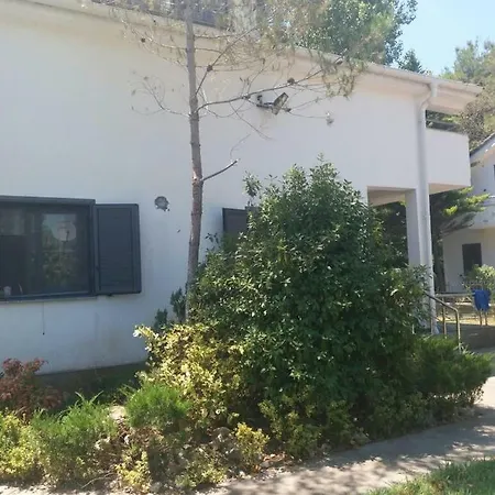 Esli Pishat E Buta Голем